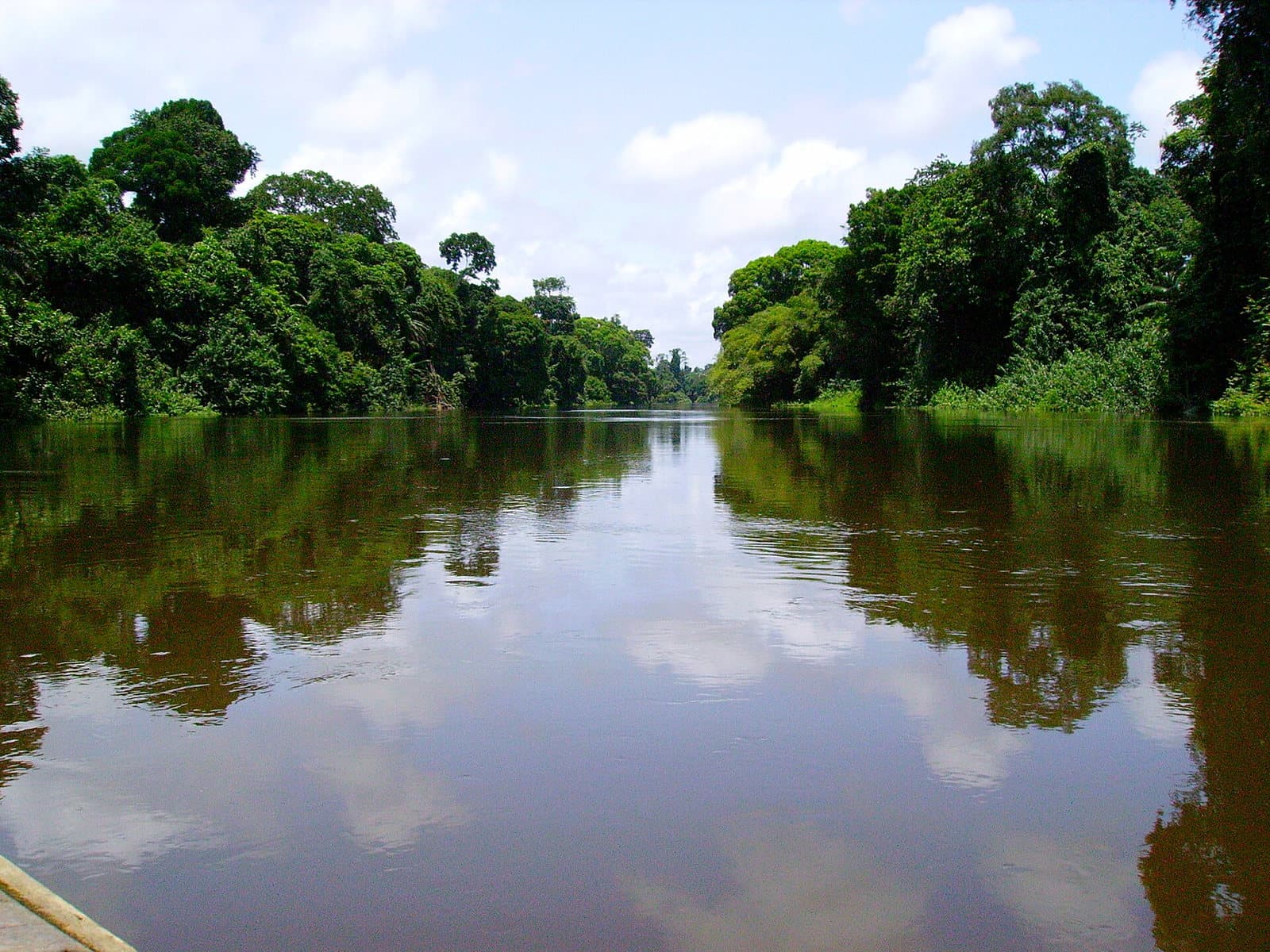 Le fleuve Nyong dans le sud du Cameroun