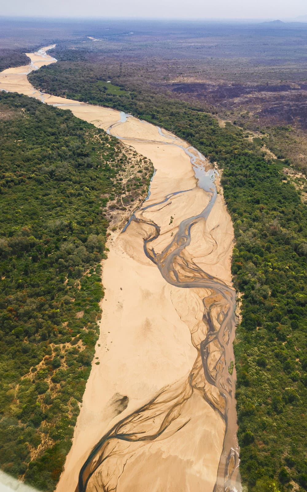 Lit asséché du Mayo Liddi dans le parc national de Bouba Ndjida, savane du Nord-Cameroun.